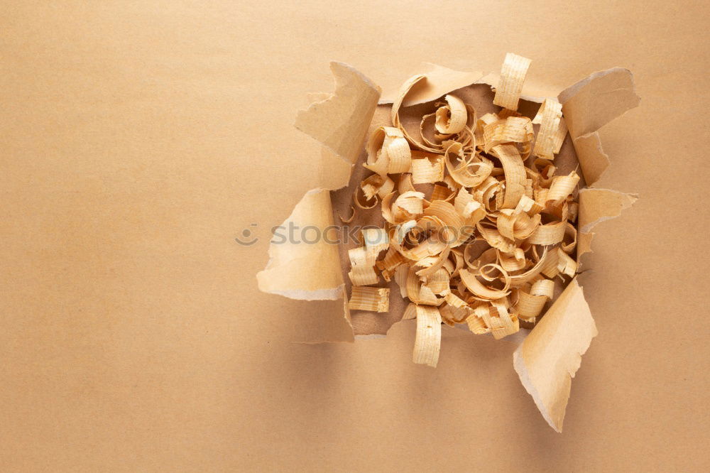 Similar – Image, Stock Photo Yield Mushroom search Art