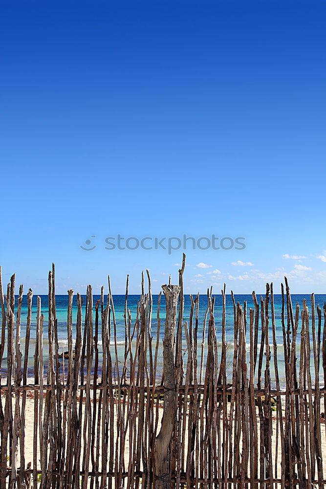 Similar – a schöne Aussicht Meer