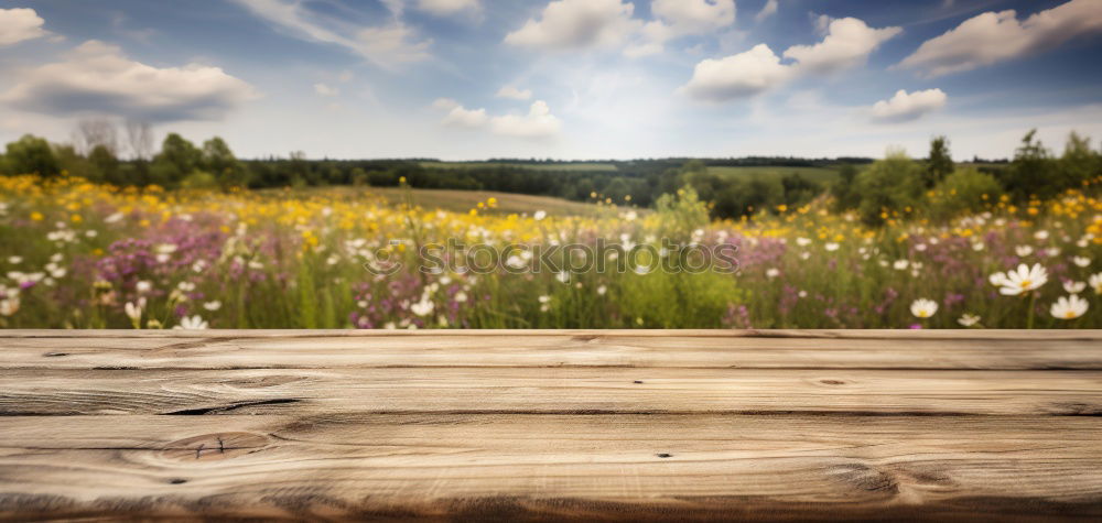 Similar – Image, Stock Photo shack Nature Plant Flower