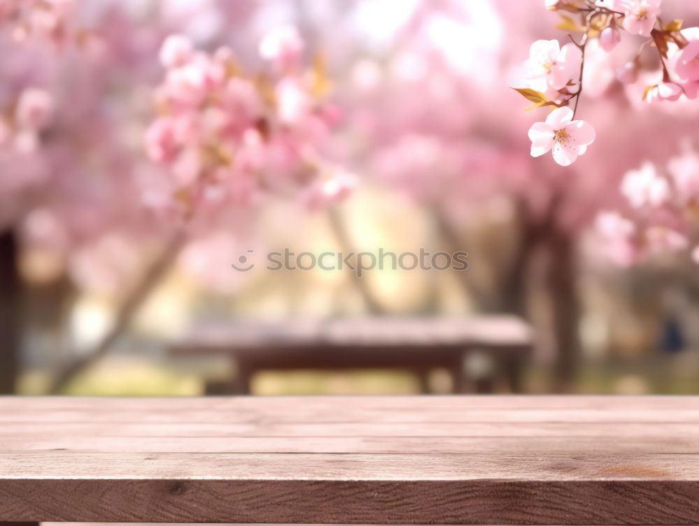 Similar – Image, Stock Photo hug Beautiful Environment