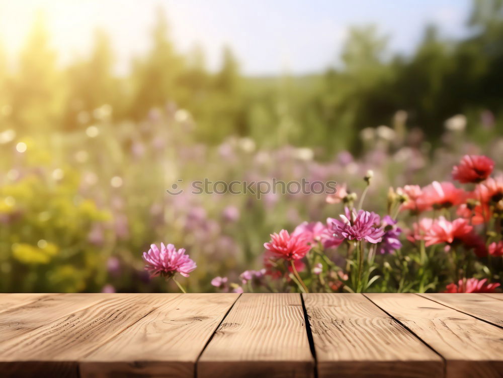 Similar – Image, Stock Photo Spring meadow III