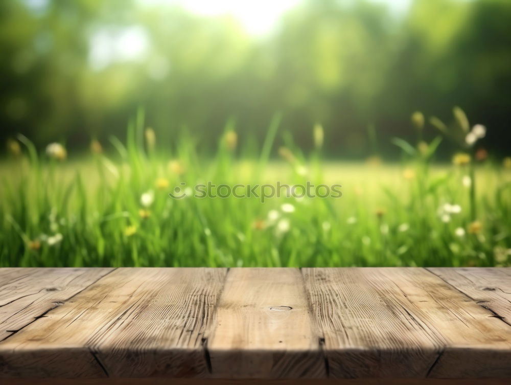 Similar – Image, Stock Photo Standing on the meadow