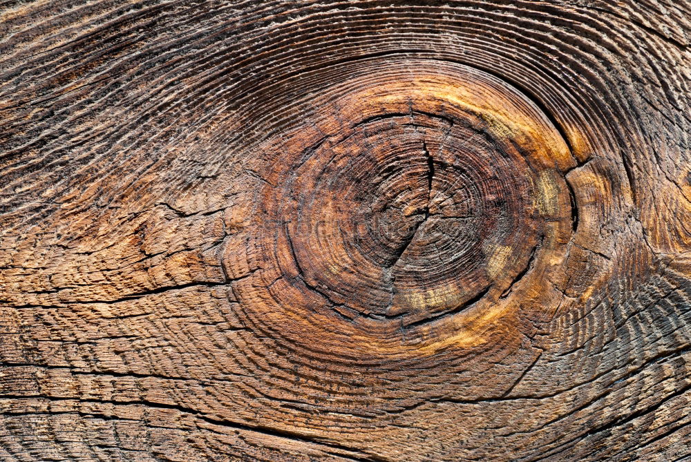 Similar – Old heart shaped door lock on a blue wooden door