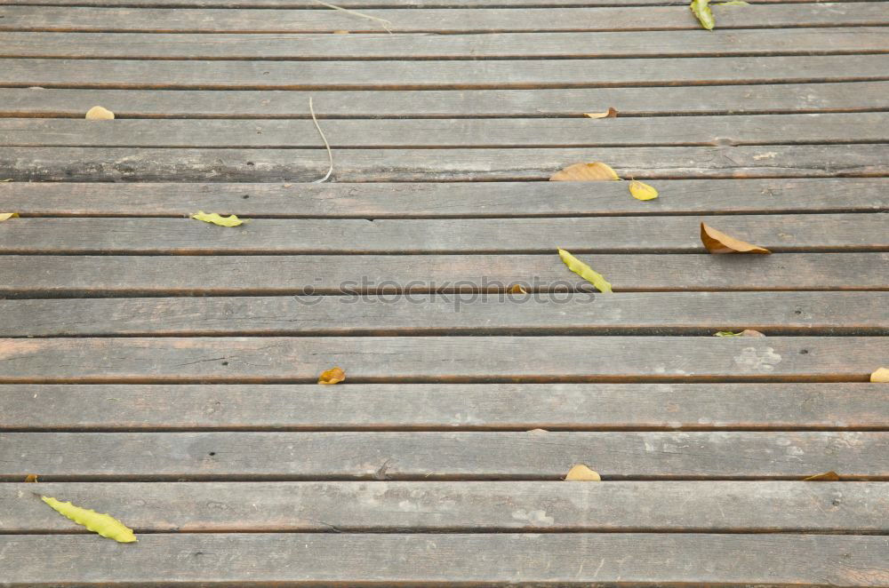 Similar – Image, Stock Photo autumn Footwear Blue Green