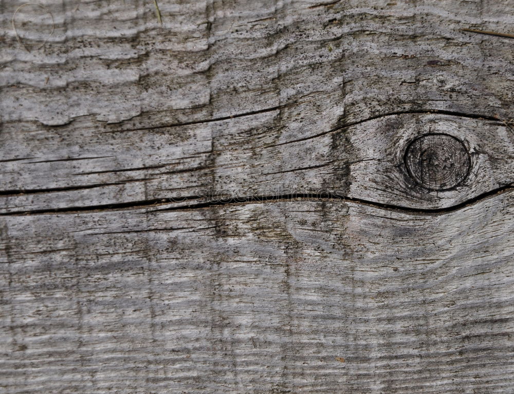 Similar – Image, Stock Photo knot hole Wood