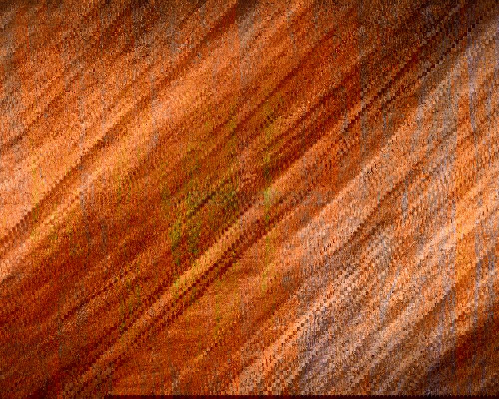 Foto Bild knock on wood Raum