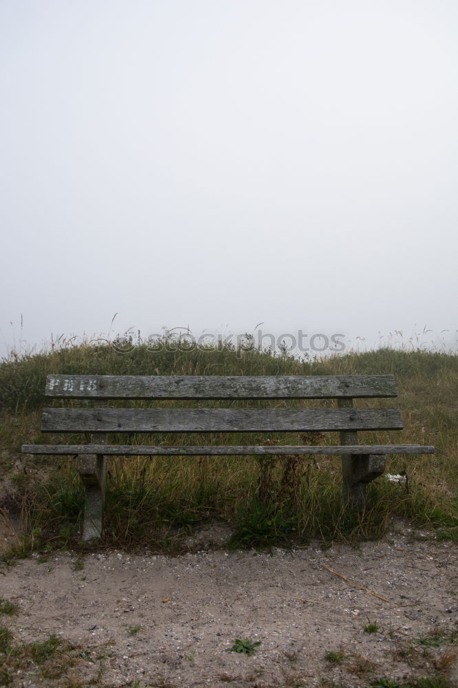 Hiddensee | es gibt immer einen Platz für dich