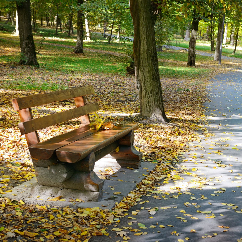 Similar – Park bench in the fall at Lago Ledro