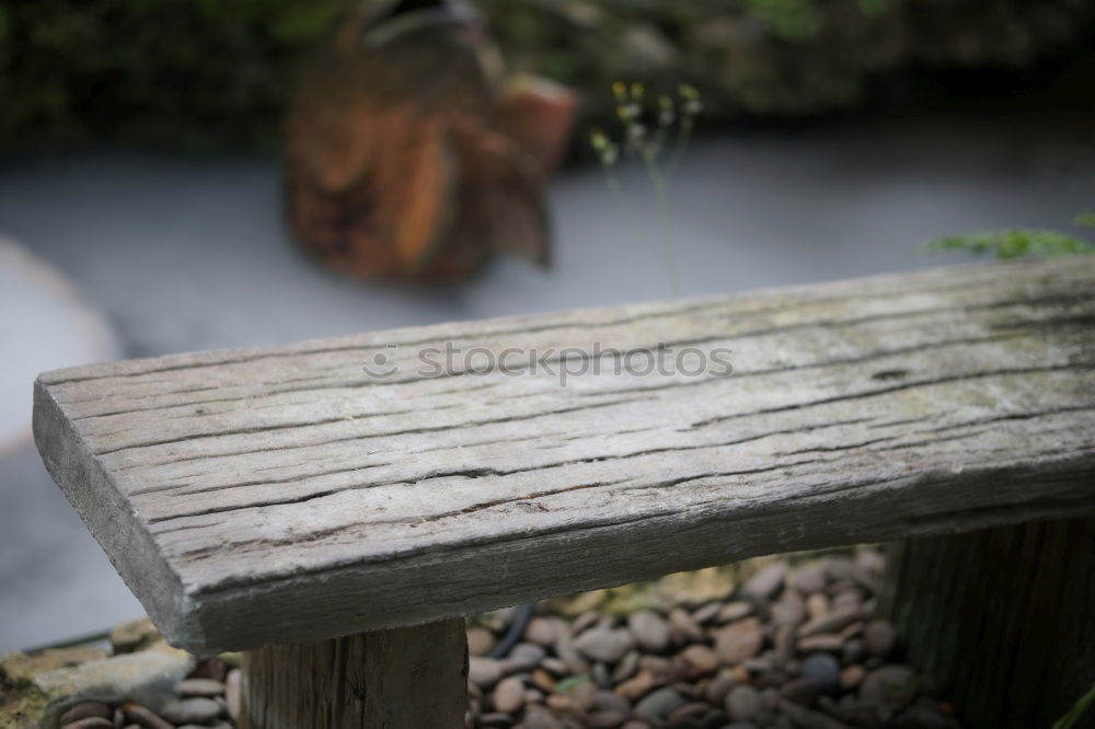 Similar – tree stump Lake Green