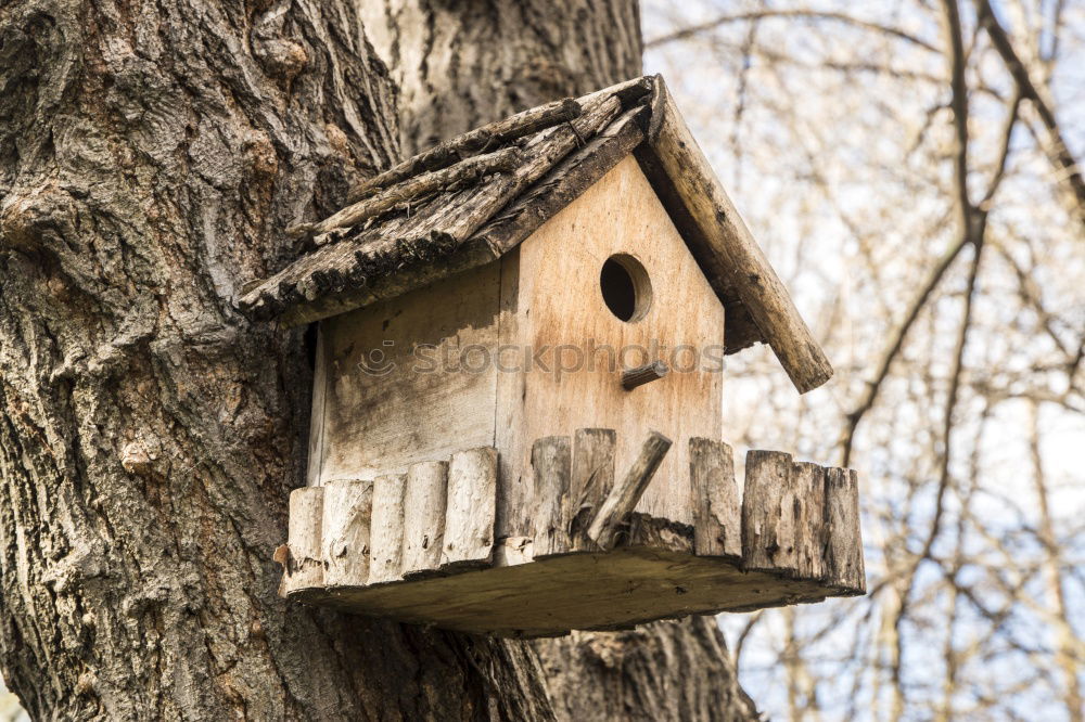 Similar – Image, Stock Photo bird house