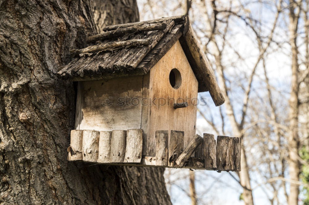 Similar – Image, Stock Photo bird house