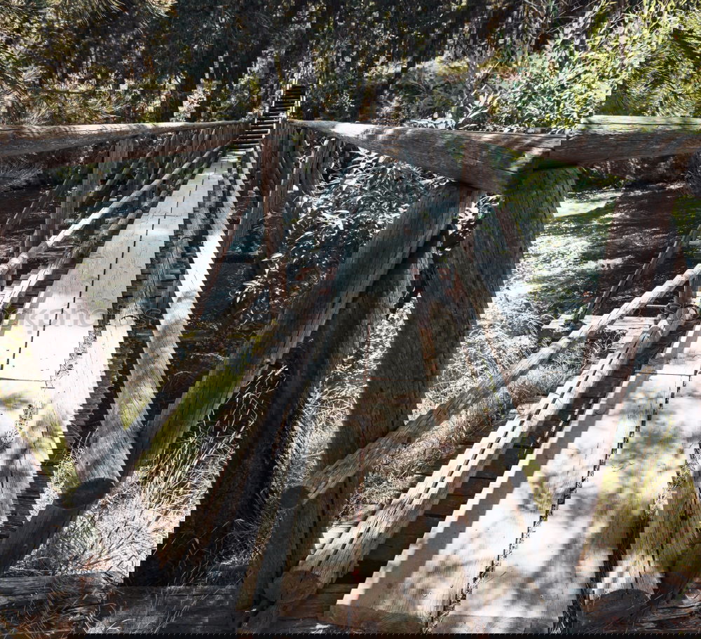 Similar – Image, Stock Photo Man walking on bridge on trees