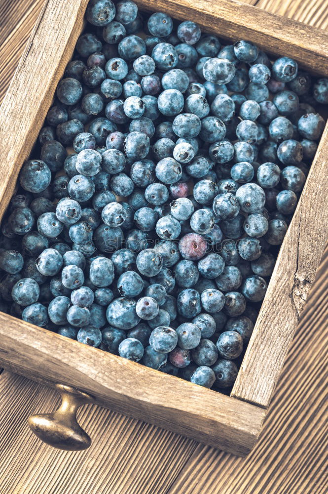 Similar – Image, Stock Photo Freshly gathered blueberries put into ceramic bowl