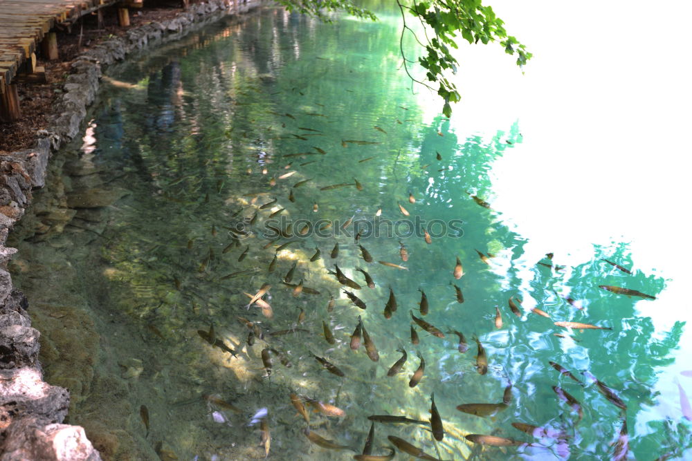 Similar – Foto Bild neulich im Freibad