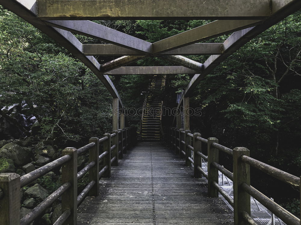 Similar – Japanese arches and path