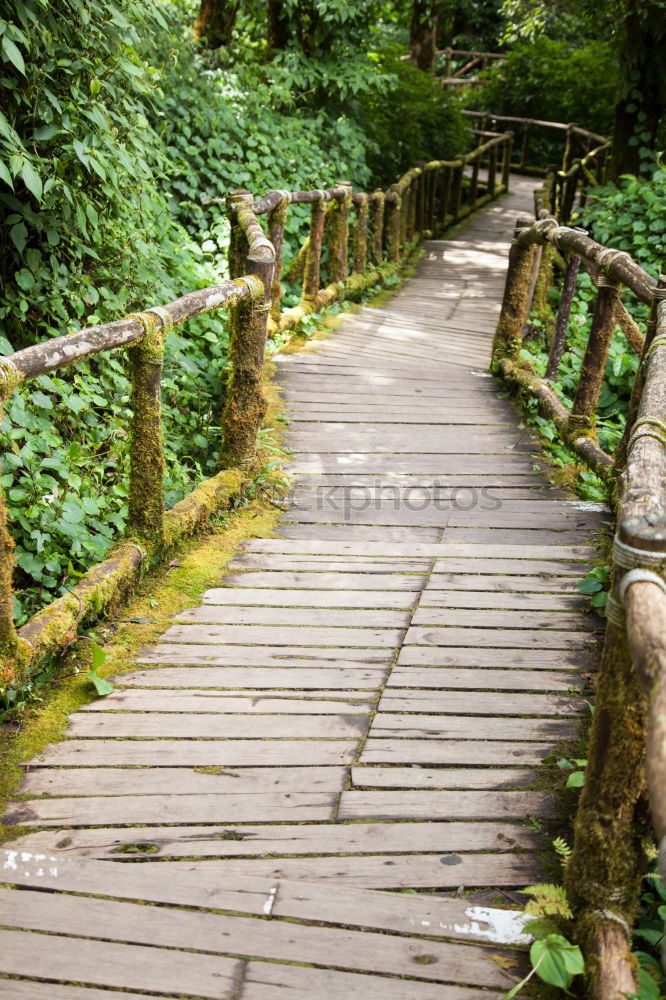 Similar – Image, Stock Photo building bridges