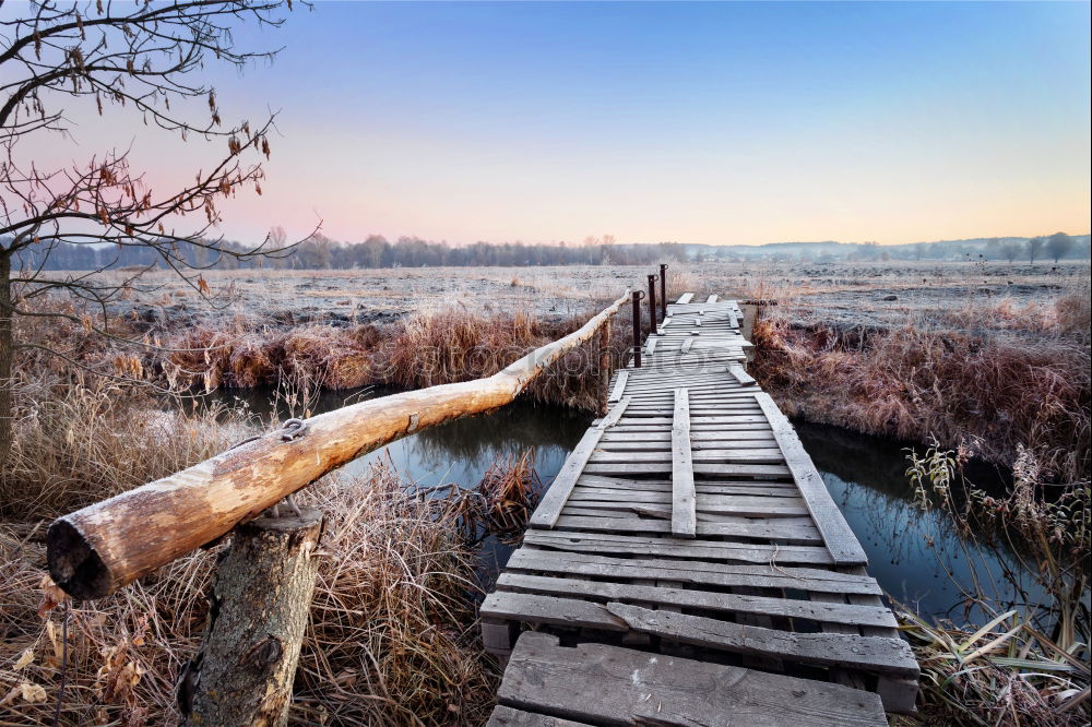 Similar – Image, Stock Photo The Cross Nature Landscape