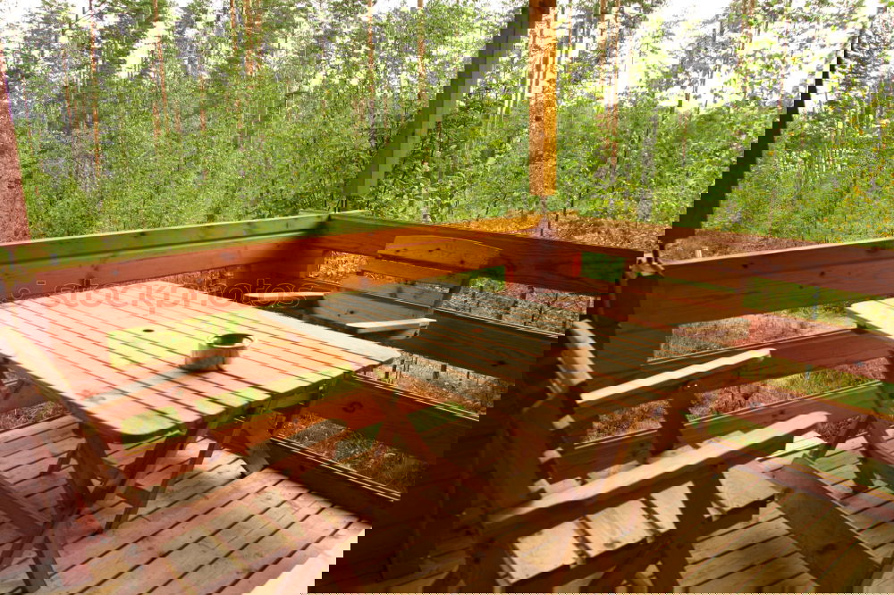 Similar – Foto Bild Ein Platz an der Sonne