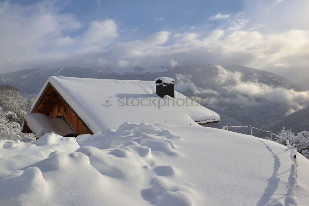 Similar – Image, Stock Photo thaw Winter February Cold