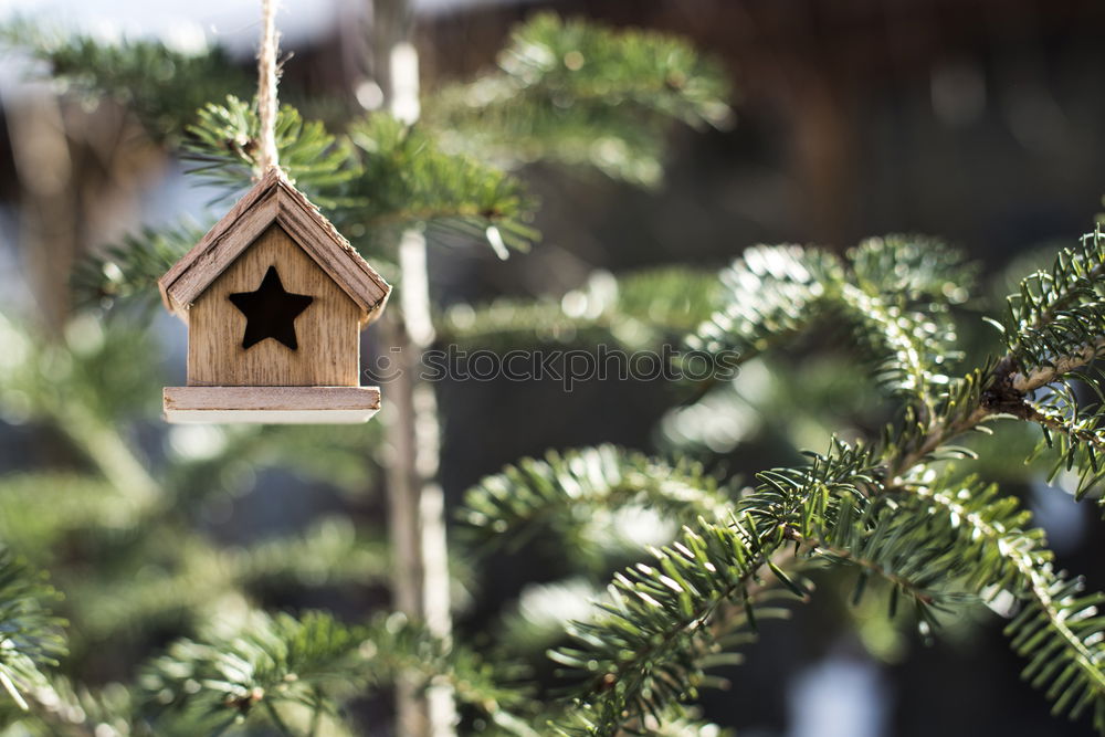 Similar – Image, Stock Photo Wooden Christmas house