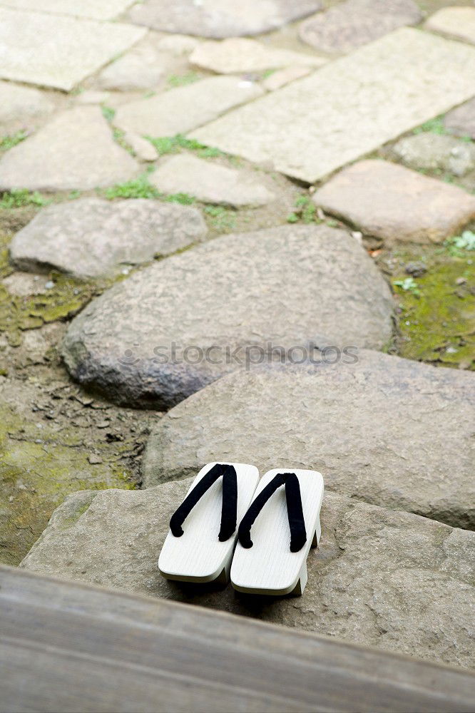 Similar – Image, Stock Photo High heels on an open door