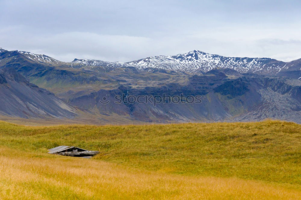 Golden mountains in Lagodekhi national park, Georgia