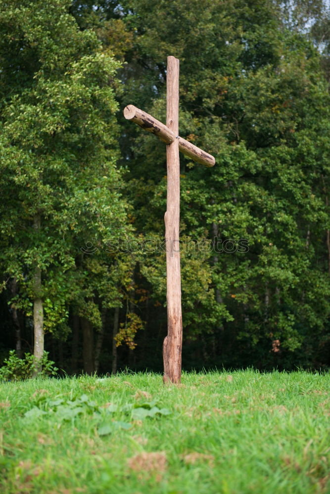 Similar – Image, Stock Photo Historical cemetery wall with grave cross.