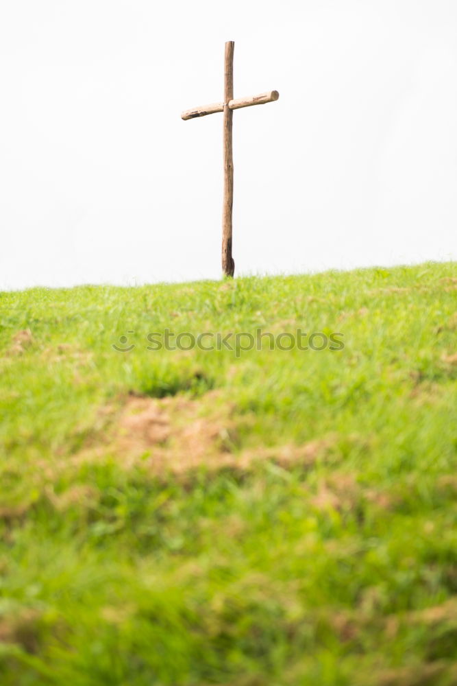 Similar – Image, Stock Photo hiking trail signposting
