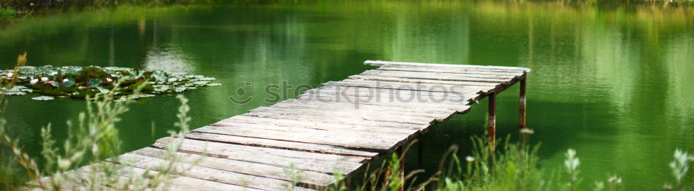 Similar – Im Brunnen Umwelt Natur