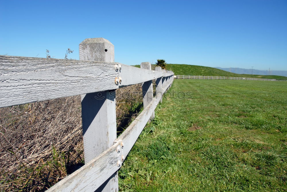 Similar – Watch your step! Power fence!