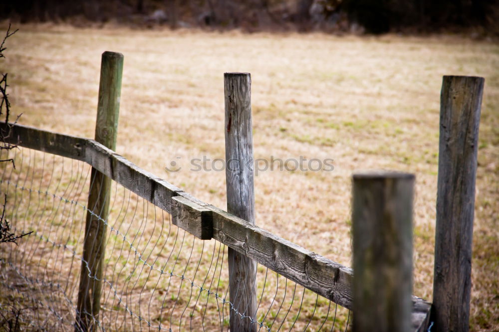 Image, Stock Photo Optical dystopia II