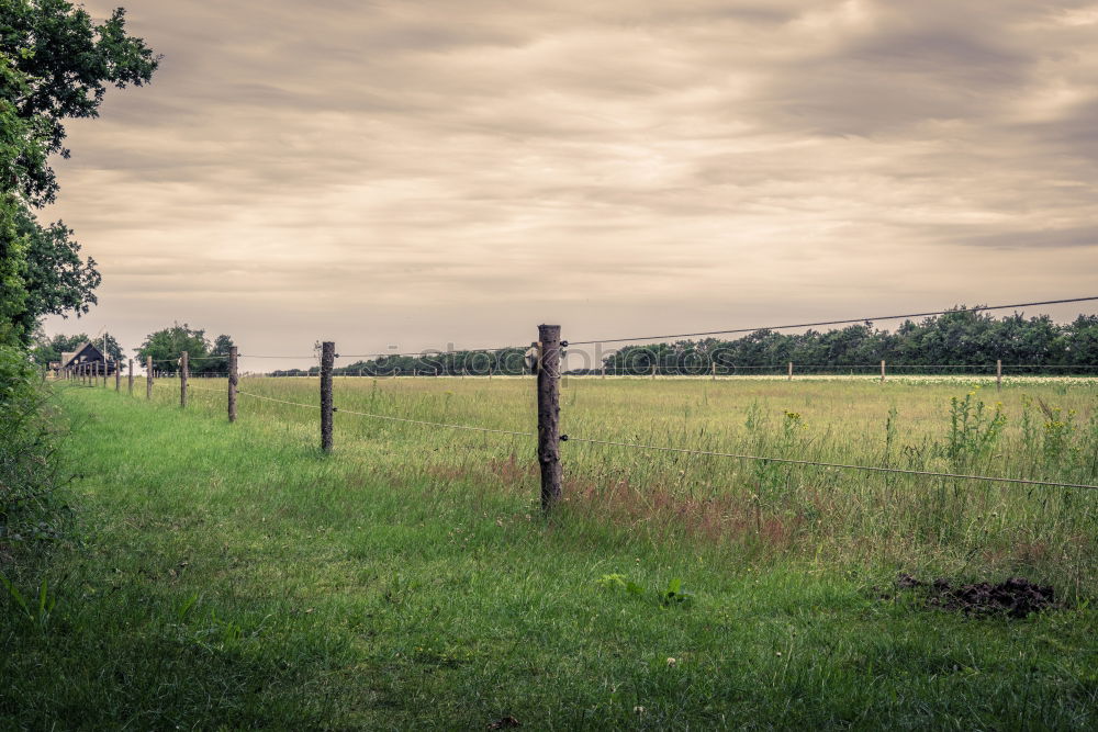 Similar – unsere kleine farm Natur