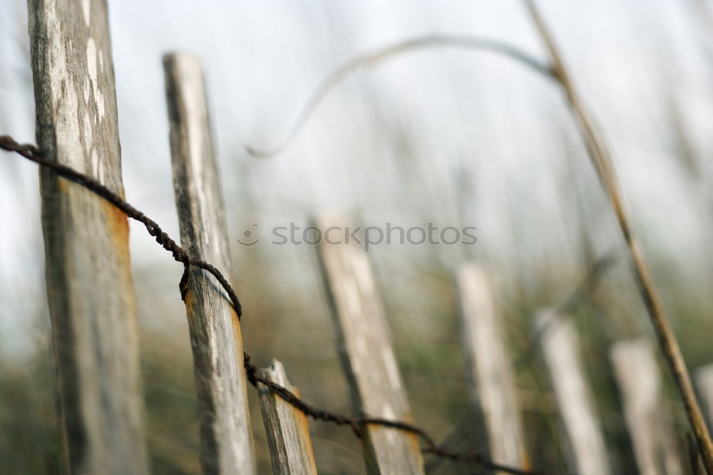 Similar – unattached Fence