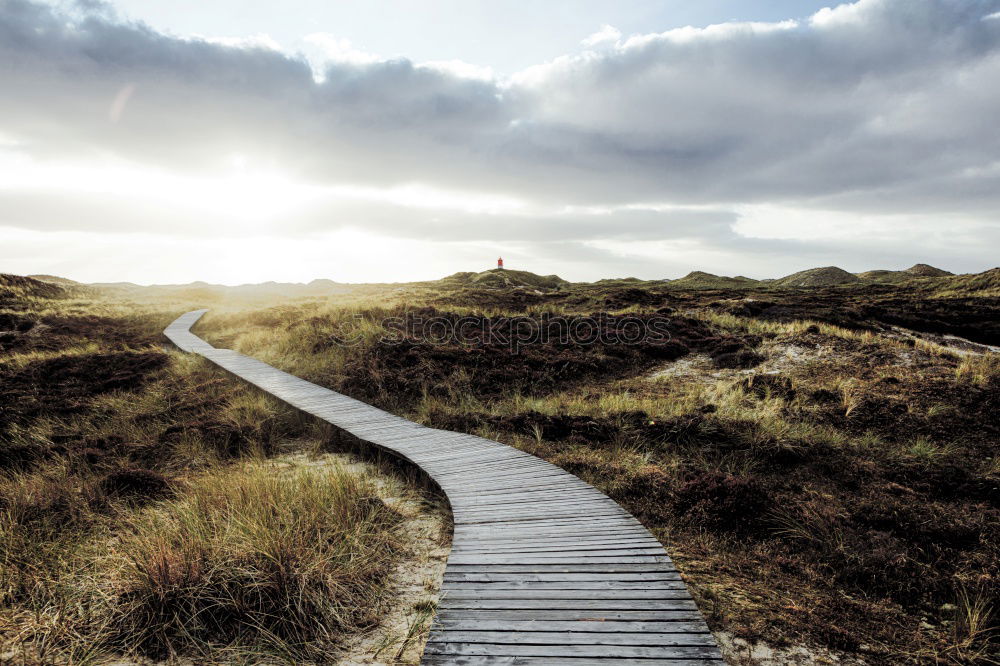 Similar – Image, Stock Photo autumn paths Nature