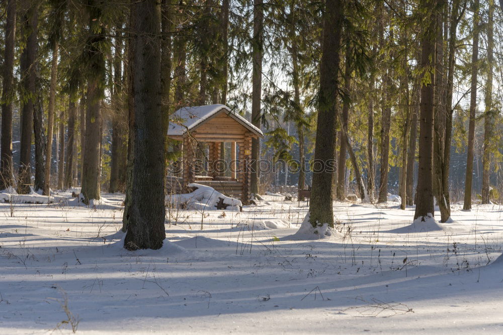 Similar – winter hut