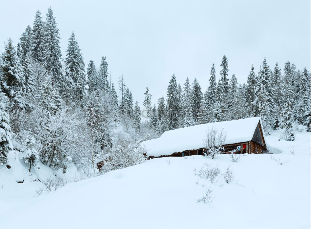 Similar – Image, Stock Photo morning sunrise over cabin in winter alpine forest and snow