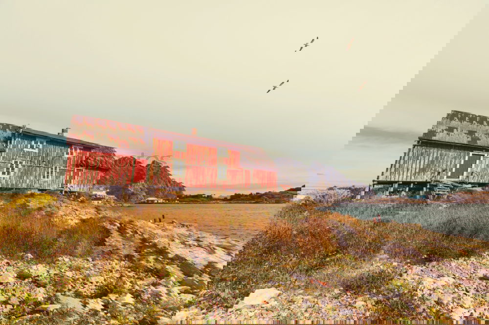 Similar – Image, Stock Photo Houses on misty island