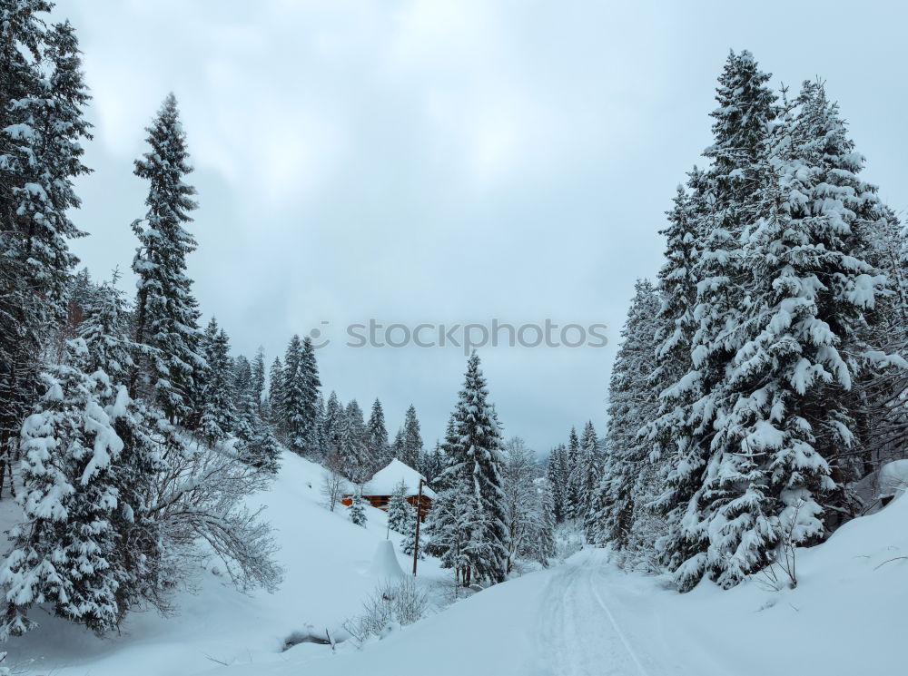 Similar – Image, Stock Photo Cottage in the snow