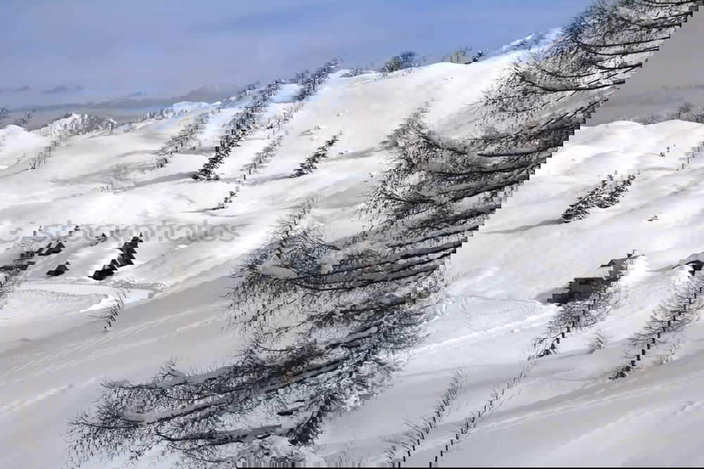 Similar – Image, Stock Photo View from Schauinsland near Freiburg / Alpine view