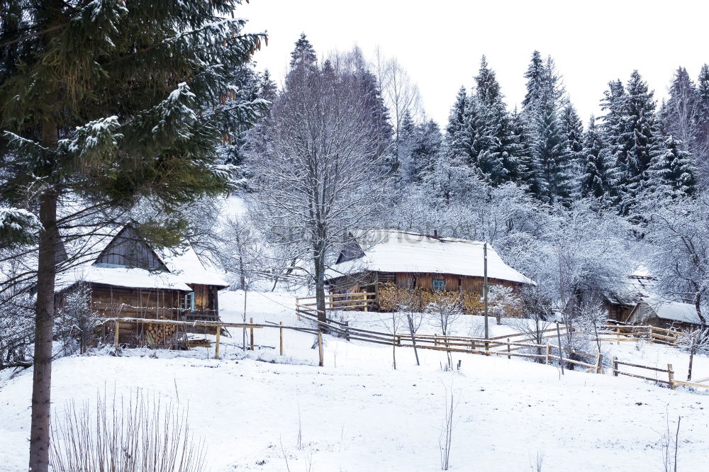 Similar – Image, Stock Photo winter forest Cold Tree