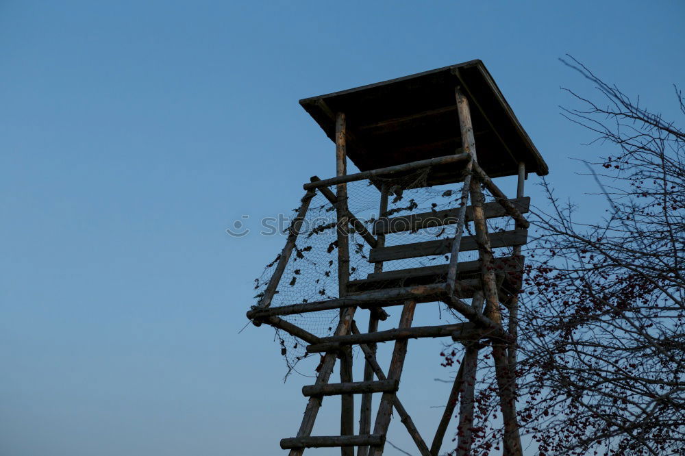 Similar – Hochsitz Natur Himmel