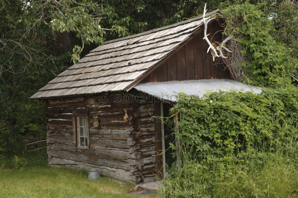 Similar – Foto Bild Hütte Holz Gras grün braun