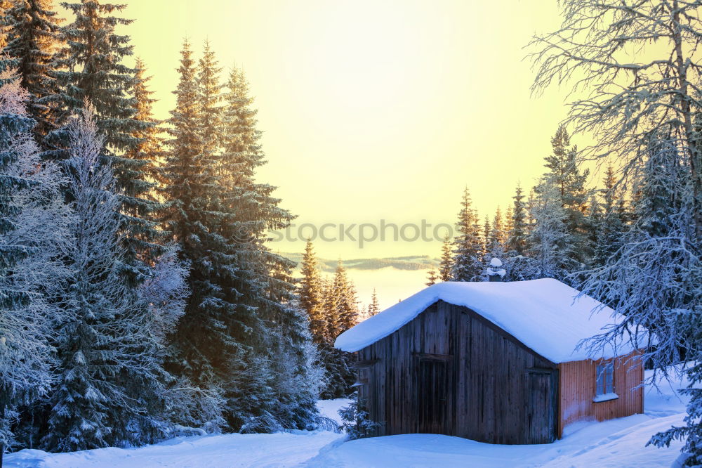 Similar – Image, Stock Photo altitude Forest Winter