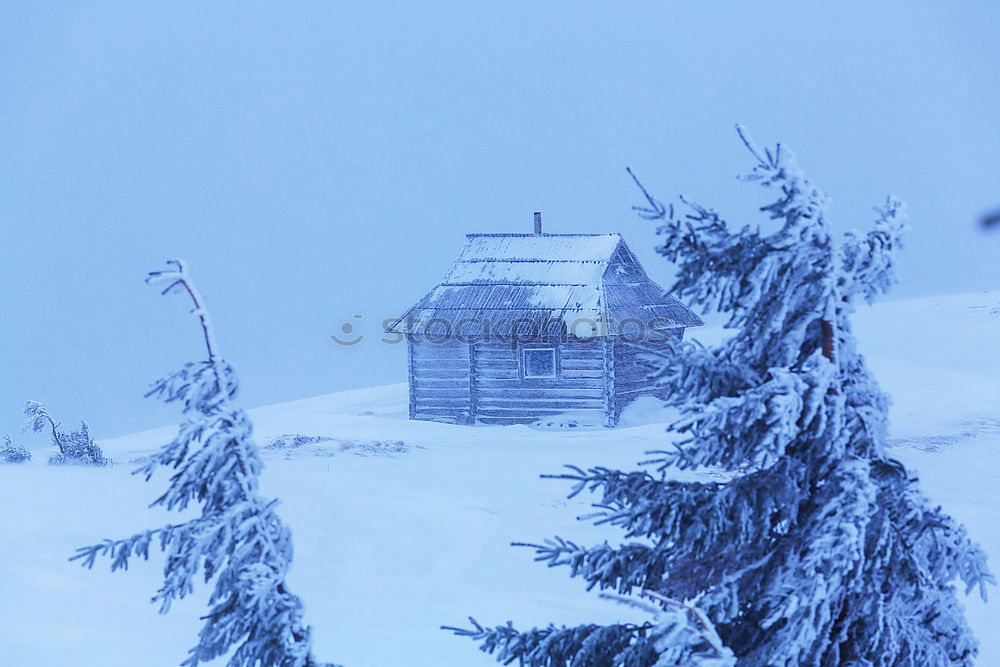 Similar – Foto Bild Nachts im Schnee #02
