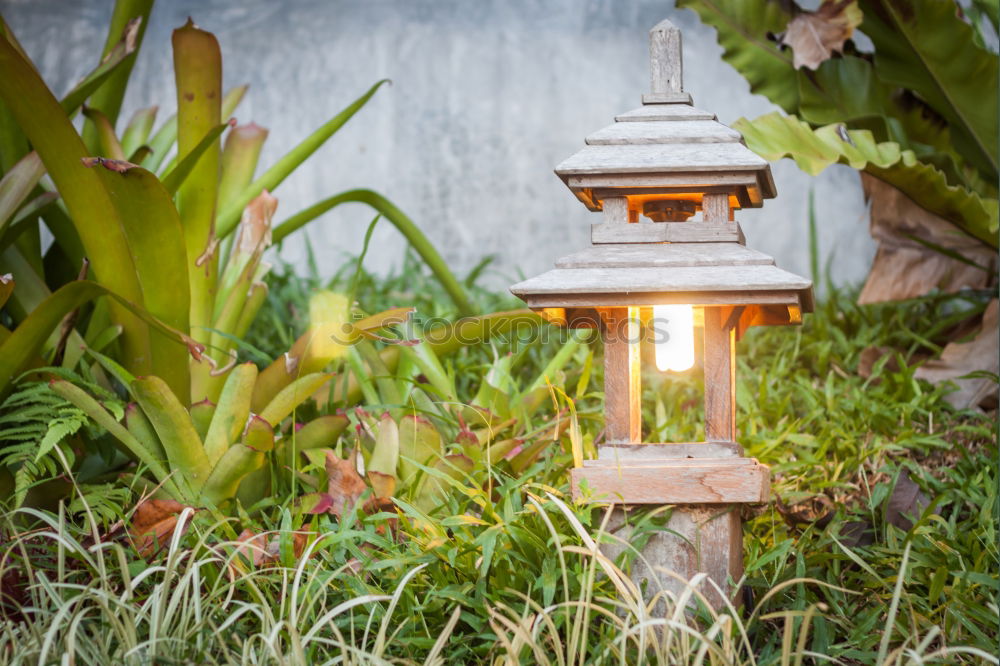 Similar – Image, Stock Photo Bird house on a tree among the green leaves