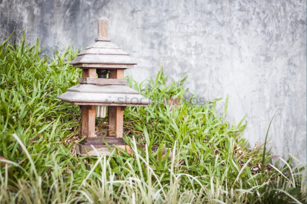 Similar – Image, Stock Photo Bird house on a tree among the green leaves