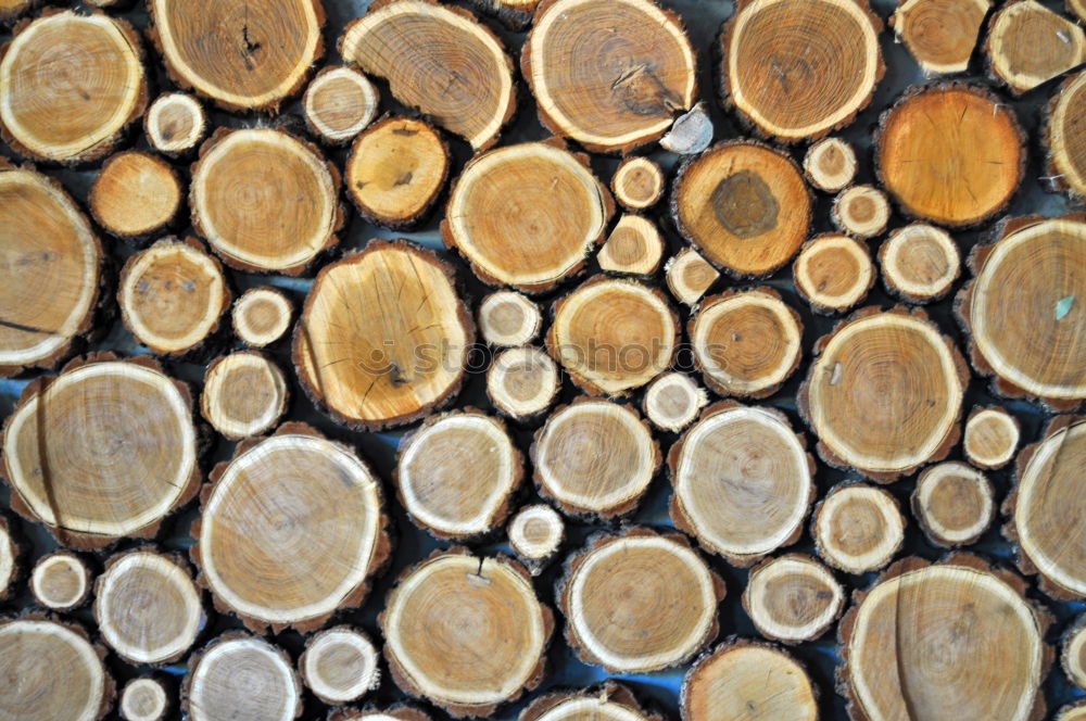 Similar – stack of wood Wood