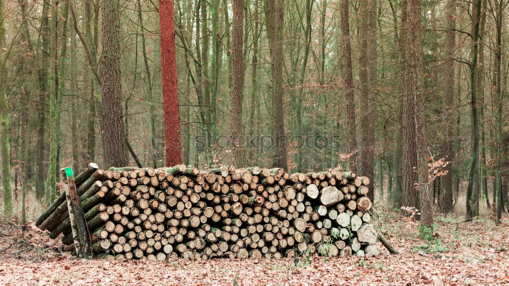 Similar – Wood in front of the hut