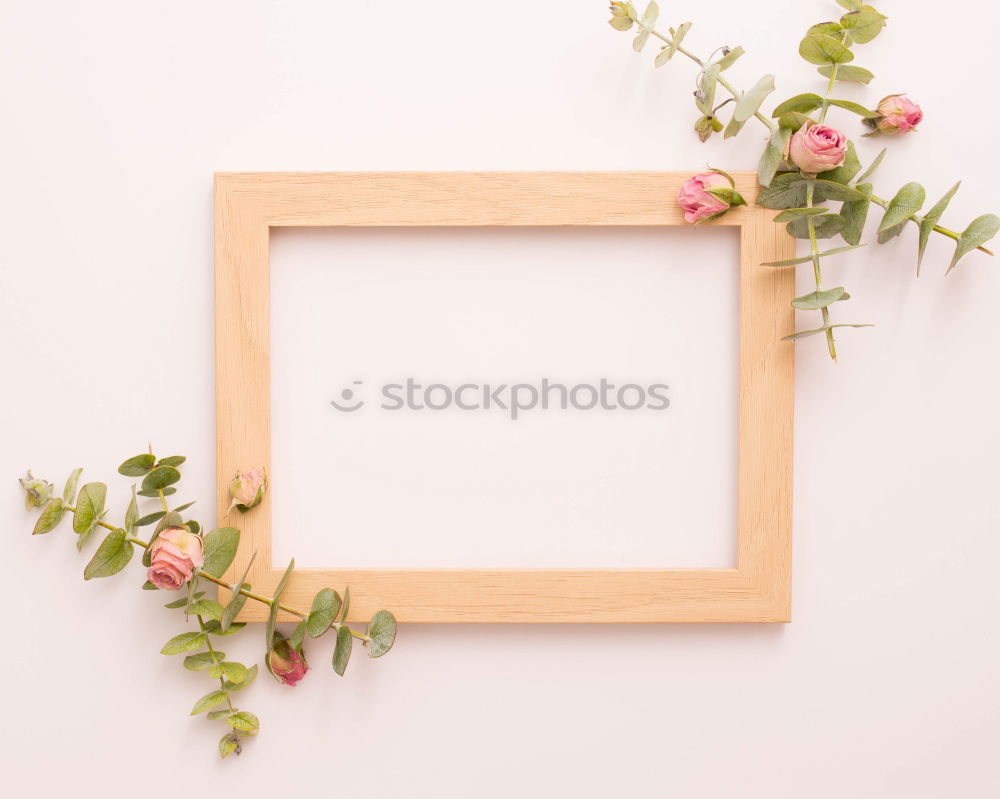 Similar – Gerbera flowers on white board