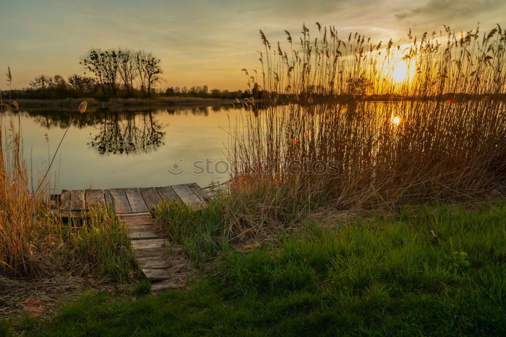 Similar – Image, Stock Photo Lake Zicker Relaxation